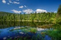 Mountain lake Laka in Sumava