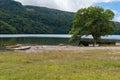 Mountain lake landscape with green tree and mountain slopes, hills Royalty Free Stock Photo