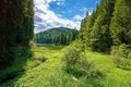 mountain lake landscape in summer Royalty Free Stock Photo