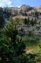 Mountain lake and larch tree