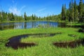 Strathcona Provincial Park, Vancouver Island Mountain Lake at Paradise Meadows on the Forbidden Plateau, British Columbia, Canada Royalty Free Stock Photo