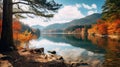 Mountain lake reflections and fall colors a relaxing nature image Royalty Free Stock Photo