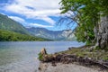 Mountain lake and shore with stump and interesting winding roots. Bohinj lake in Slovenia Alps