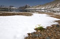 Mountain lake, snow, stones and yellow flowers