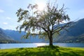 Mountain lake in summer - Lake Bohinj