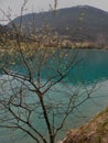 Mountain lake with turquoise blue water and old tree Royalty Free Stock Photo