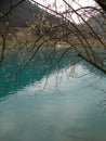 Mountain lake with turquoise blue water and old tree