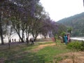 Mountain land of Bhutan with vegetation blue flower trees