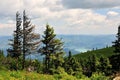 Mountain Landscape