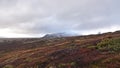 Mountain landscape above Kongsvoll in Dovrefjell national park in Norway