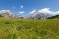 Mountain landscape in the Alps with flowers meadow. Austria, Walderalm