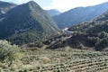 Mountain landscape in altitude in Lebanon around the canyon and the cliffs of river Nahr Ibrahim