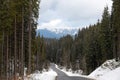 Mountain landscape with asphalt road and forest after snow storm Royalty Free Stock Photo