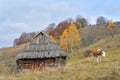 Mountain landscape with autumn morning fog at sunrise - Fundatura Ponorului, Romania Royalty Free Stock Photo