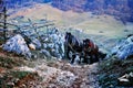 mountain landscape in autumn morning with horses climbing on road - Fundatura Ponorului, Romania