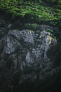Mountain landscape with bare rocks and green forest Royalty Free Stock Photo