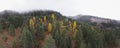 Mountain landscape in beautiful foggy fall environment. Ylatibor, Serbia