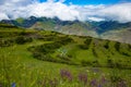 Mountain landscape beautiful green mountains with Alpine lush meadows Royalty Free Stock Photo