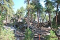 Mountain Landscape in the Black Hills, South Dakota Royalty Free Stock Photo