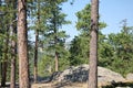 Mountain Landscape in the Black Hills, South Dakota Royalty Free Stock Photo