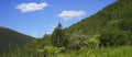 Mountain landscape with blue sky, green forest and grass. Panorama of the mountains. Royalty Free Stock Photo