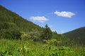 Mountain landscape with blue sky, green forest, trees and grass. Royalty Free Stock Photo