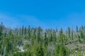 Mountain landscape. Blue sky. Green spruce forest. Nature. Royalty Free Stock Photo