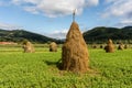 Mountain landscape with haystacks Royalty Free Stock Photo