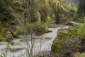 Swollen river Brembo in spring Royalty Free Stock Photo