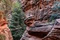 Mountain Landscape at Canyon in Zion National Park in Utah, USA Royalty Free Stock Photo