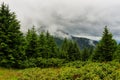 Mountain landscape in Carpathians, Chornogora ridge under clouds, Ukraine, Europe.