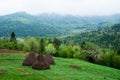 Mountain landscape. Carpathians.