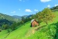 Mountain landscape in the Carpathians, Verkhovyna Royalty Free Stock Photo