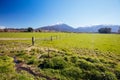 Landscape Around Staveley in New Zealand