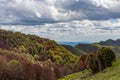 Mountain landscape in cloudy weather. Trees are changing color in the autumn. Forest and green meadow in the foreground Royalty Free Stock Photo