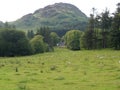 Mountain Landscape and Country House