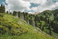 Mountain with dead trunks of fir, Almaty, Kazakhstan, Zailiysky ridge Alatau, Almaty, Kazakhstan, Kimasar gorge, road to