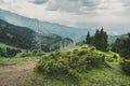 mountain landscape with dead trunks of fir, Almaty, Kazakhstan, Zailiysky ridge Alatau, Almaty, Kazakhstan