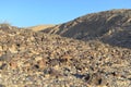 Mountain landscape, desert. Makhtesh Ramon Crater in Negev desert, Israel. Stony desert panoramic view. Unique relief Royalty Free Stock Photo