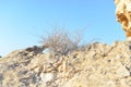 Mountain landscape, desert. Makhtesh Ramon Crater in Negev desert, Israel. Stony desert panoramic view. Unique relief Royalty Free Stock Photo