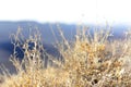 Mountain landscape, desert. Makhtesh Ramon Crater in Negev desert, Israel. Stony desert panoramic view. Unique relief Royalty Free Stock Photo