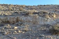 Mountain landscape, desert. Makhtesh Ramon Crater in Negev desert, Israel. Stony desert panoramic view. Unique relief Royalty Free Stock Photo