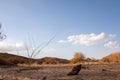 Mountain landscape, desert. Makhtesh Ramon Crater in Negev desert, Israel. Stony desert panoramic view. Unique relief geological Royalty Free Stock Photo