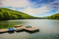 Mountain landscape with docks and pedal cycle boats on lake Gozna surrounded by forest at Valiug Royalty Free Stock Photo