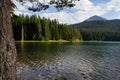 Mountain landscape, Durmitor National Park, Montenegro. Beautiful view of the lake benches near the lake in a beautiful forest Royalty Free Stock Photo