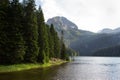 Mountain landscape, Durmitor National Park, Montenegro. Beautiful view of the lake benches near the lake in a beautiful forest Royalty Free Stock Photo