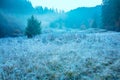 Mountain landscape in the early foggy frosty morning Royalty Free Stock Photo