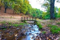 Mountain landscape with fall colors. Chestnut forest. Small river Royalty Free Stock Photo