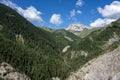 Mountain landscape with fir forest and rocky mountain range Royalty Free Stock Photo