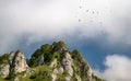 Mountain landscape with flying vultures Royalty Free Stock Photo